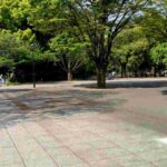 レス6番の画像1