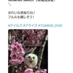 レス1番の画像1