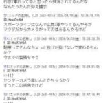 レス70番の画像1