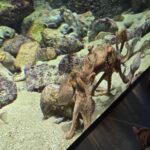 レス54番の画像3