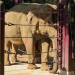 レス5番の画像2