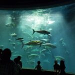 レス53番の画像1