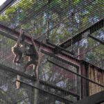 レス5番の画像4