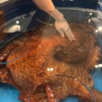 レス68番の画像1