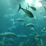 レス53番の画像2