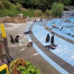 レス34番の画像2