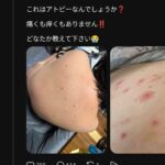 レス5番の画像2