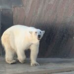 レス7番の画像3