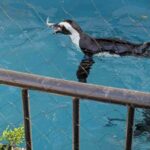 レス7番の画像2