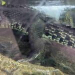 レス11番の画像1