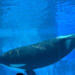 レス56番の画像1