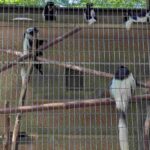 レス5番の画像3