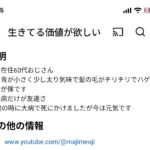 レス4番の画像1