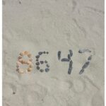 レス6番の画像1