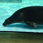 レス47番の画像1