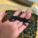 レス5番の画像1