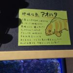 レス16番の画像4