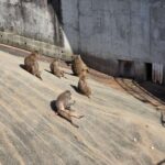 レス6番の画像2