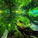 レス40番の画像1