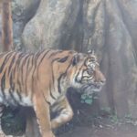 レス5番の画像7