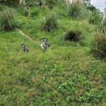 レス34番の画像1