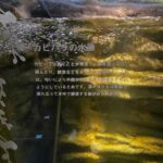 レス67番の画像1