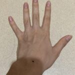 レス17番の画像1