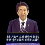レス13番の画像8