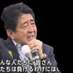 レス13番の画像9