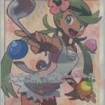 レス27番の画像1