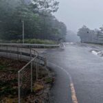 レス5番の画像2