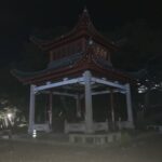 レス15番の画像1