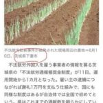 レス4番の画像3