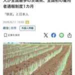 レス4番の画像2