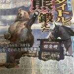 レス13番の画像1