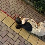 レス2番の画像1
