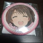 レス13番の画像1