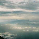 レス35番の画像1