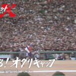 レス73番の画像2