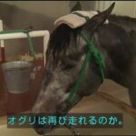 レス3番の画像1