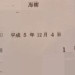 レス25番の画像1