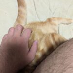 レス15番の画像1