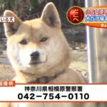 レス9番の画像1