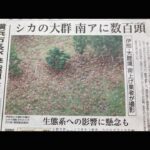 レス15番の画像1