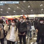 レス31番の画像1