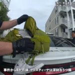 レス14番の画像6