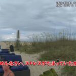 レス14番の画像4