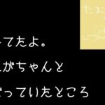 レス1番のリンク先のサムネイル画像