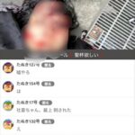 レス1番の画像1