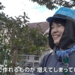 レス4番の画像1